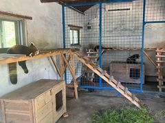 -苏州太湖西山岛开心农场