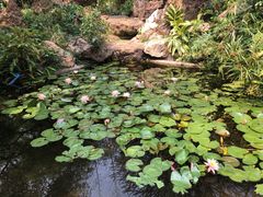 -晓港公园
