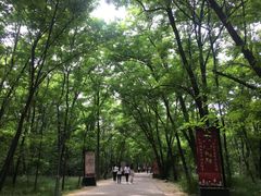 -廊坊市自然公园