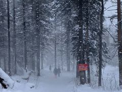 -雪谷
