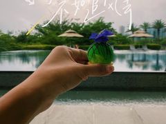 -蓝湾绿城威斯汀度假酒店大堂吧
