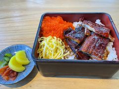 -Hatsune隐泉日式料理(三里屯太古里店)