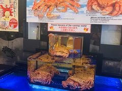 -蟹道乐(網元別館店)