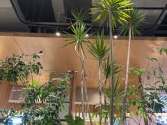 -gaga(深圳福田星河COCO Park店)