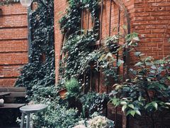 -Ocean's Table 欧舍