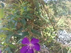 -南国桃园旅游度假区