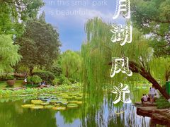 -月湖公园