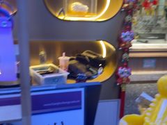 -汉金城海鲜烤肉自助百汇(烟台永旺购物中心店)