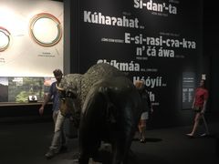 -布洛克德克萨斯国家历史博物馆