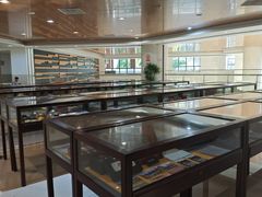 -厦门市图书馆(集美新城馆区)