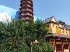 -青岛方特梦幻王国