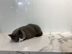 -乐果甜心·潮汕冰室(南澳后宅分店)