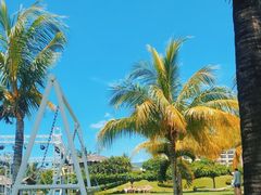 -三亚亚龙湾天域度假酒店