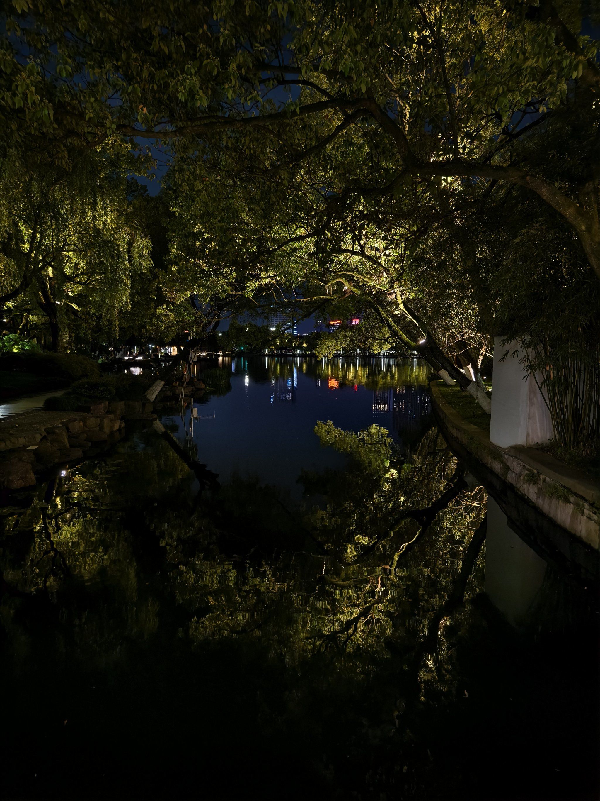 n夜色朦胧笼轻纱,
宛如仙境落人间.