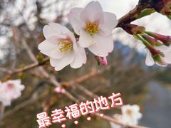 -大围山国家森林公园