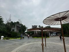 -安仁古镇