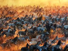 -罗红摄影艺术馆