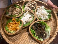 -滇野云南野生菌餐厅(陕西南路店)