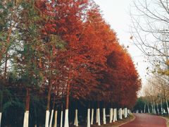 -滨湖塘西河公园