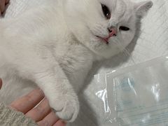 -灵美宠物诊所