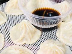 -十里铺铁板鱿鱼