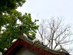 -赭山公园