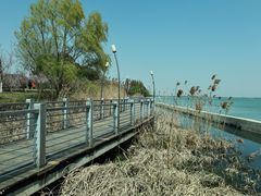 -阳澄湖半岛旅游度假区
