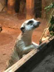 点击看大图 -宝燕乐园(闵行旗舰店)