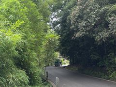 -碧峰峡风景区