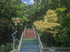 -佛山华盖山公园