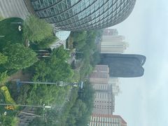 -凤凰中心
