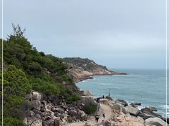 -广东惠东海龟国家级自然保护区