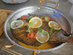 -Hi City·城市之巅