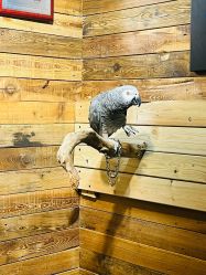 -Zoolung Zoolung动物主题公园(海信广场店)