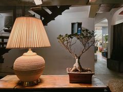 -大理老字号·舟渔的鱼野生菌海景餐厅(双廊店)