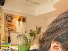 -青石桥花鸟鱼虫市场(叠翠城店)