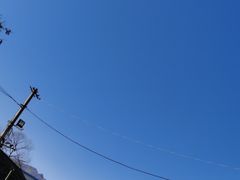 -白水寺森林公园