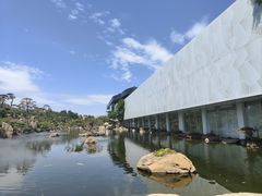 -罗红摄影艺术馆