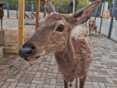 -长白岛森林公园