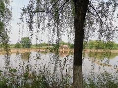 -长兴太湖图影湿地文化园