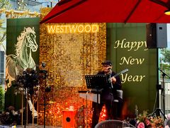 -WESTWOOD•落日餐厅•乐队演出(前海壹方汇店)