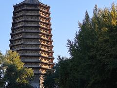 -玲珑塔公园