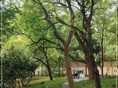 -徐家汇源景区-衡山公园