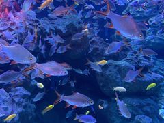 -成都浩海立方海洋公园