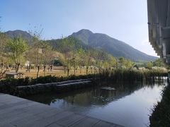 -中国宣纸文化园