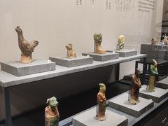 -四川大学博物馆