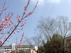 -安徽工业大学(秀山校区)