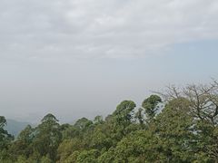 -水濂山森林公园