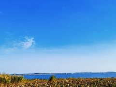 -七的湖·晚芳亭·阳澄湖农家菜·大闸蟹(莲花岛店)
