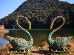-广州市石门国家森林公园